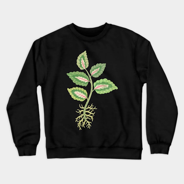 Coleus Cutting Crewneck Sweatshirt by Rebelform